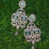 💎 Premium Earrings