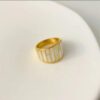 Premium Stainless Steel Ring | Ammara Jewels