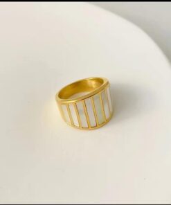 Premium Stainless Steel Ring | Ammara Jewels