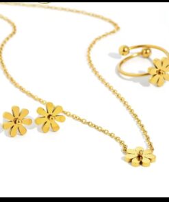 Elegant Stainless Steel Daily Wear Set