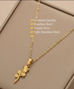 Premium Elegant Stainless Steel Chain | Ammara Jewels