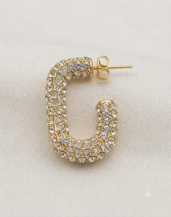 Stainless Steel Balian – Stylish & Elegant Earrings